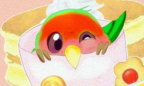 だいたいインコの都合で生きてます。。。。