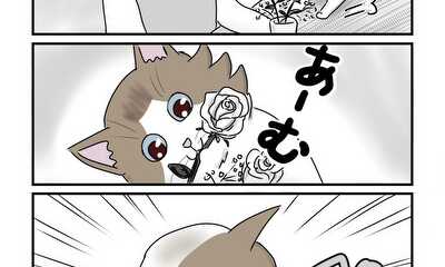 第9話 猫と花