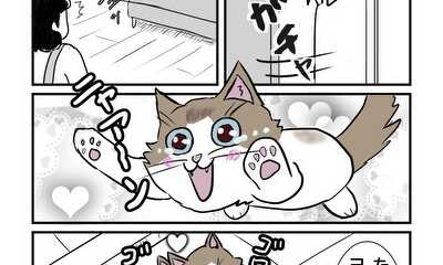 第10話 猫の愛情表現