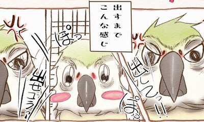 第3話 あれから・・・・