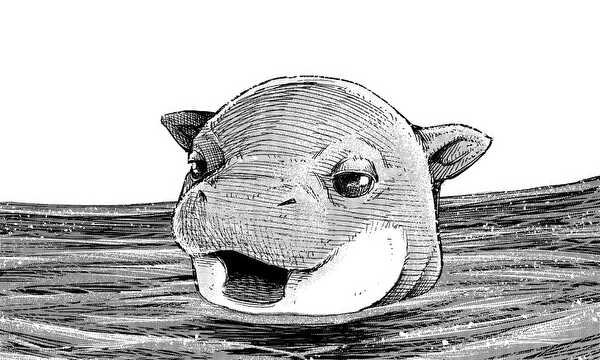 ひぽぽたます