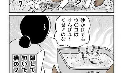 第11話 猫と匂い