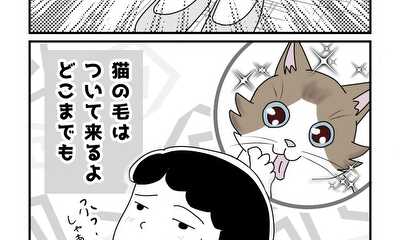 第12話 猫に見送られると