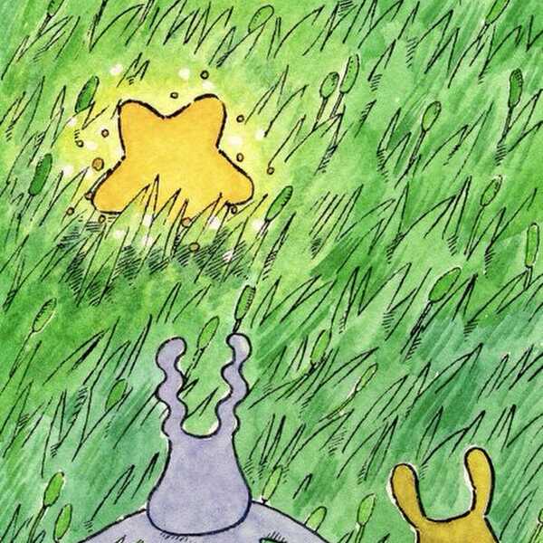 星を拾う