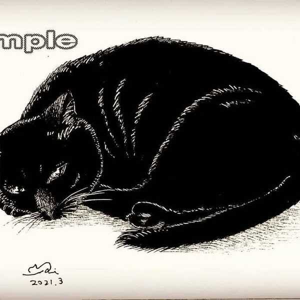 半目でくつろぐ