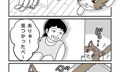 第13話 猫と遊べば