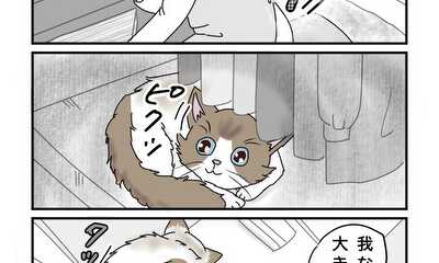 第14話 猫の勘違い