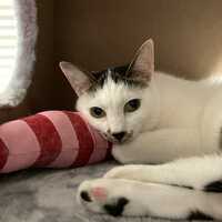 幸（サチ）のプロフィール画像