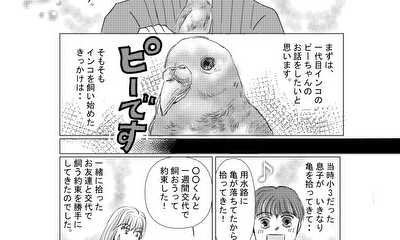 第1話 一代目インコのピーちゃん