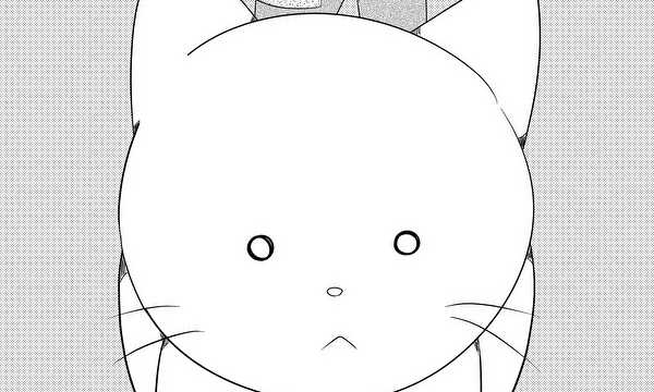 しろねこ