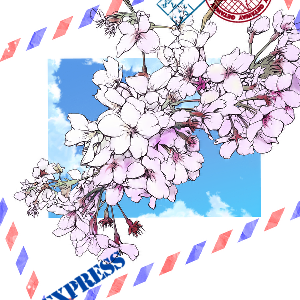 さくらだより