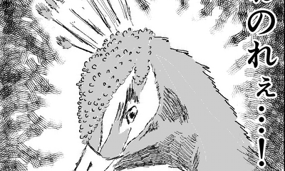 第1話 孔雀