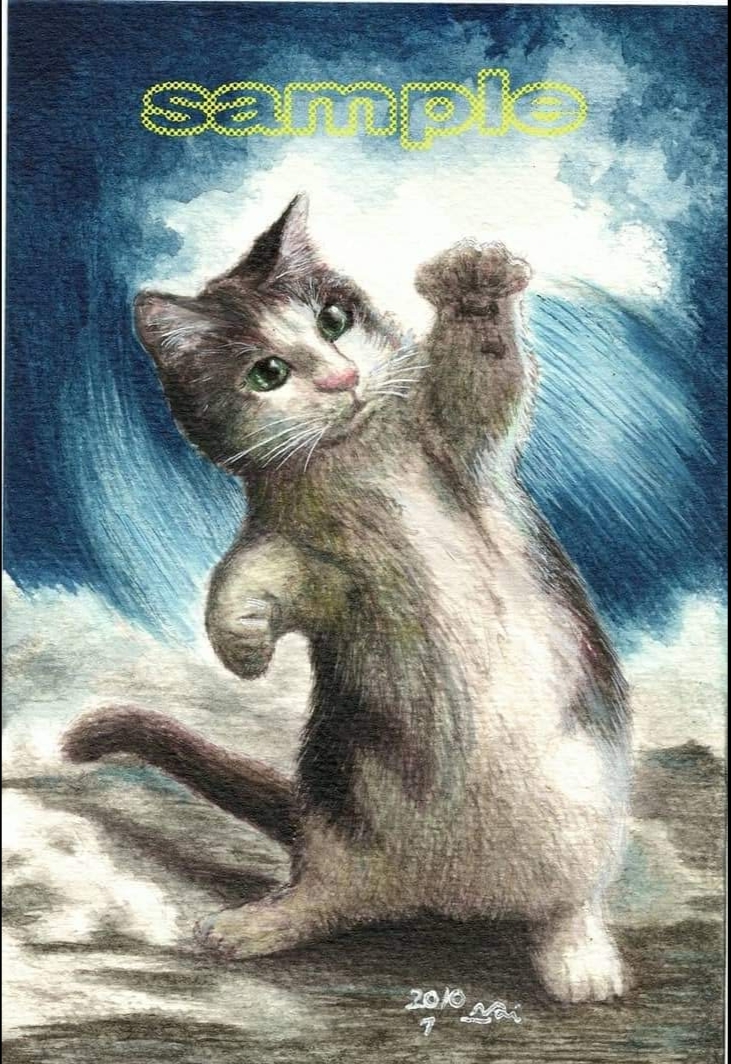 猫拳法0