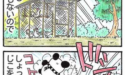 第5話 ダッポイとふるタイヤ