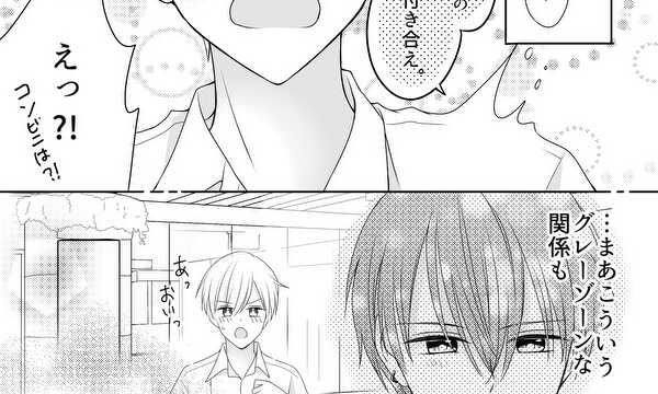 グレーゾーン