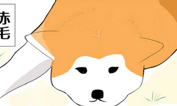 秋田犬に会いに行く