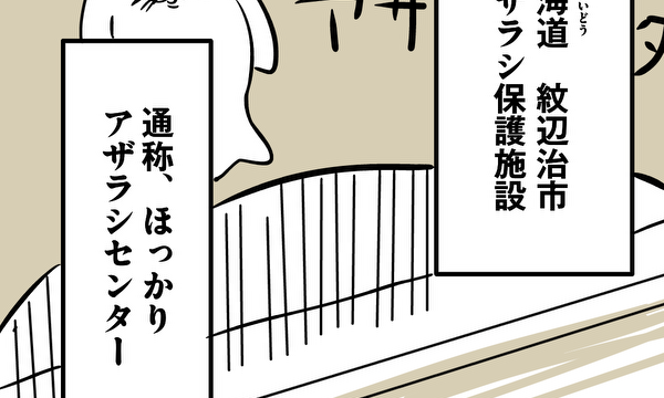 アザラシ転生〜オレがアザラシになったわけ〜