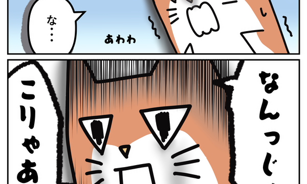 サンカクオコジョ