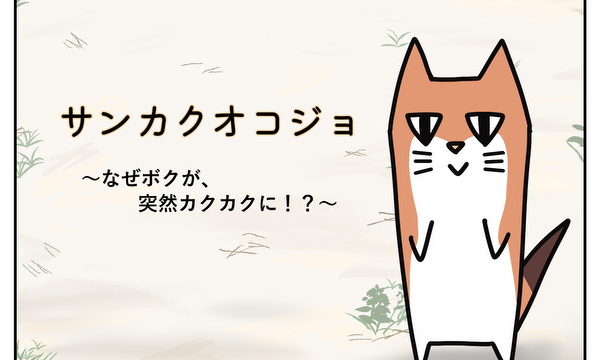 サンカクオコジョ