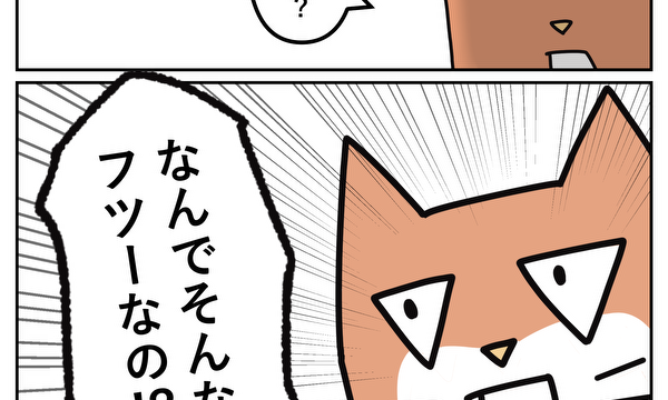 サンカクオコジョ
