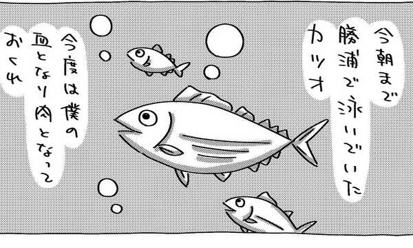 勝浦のカツオ