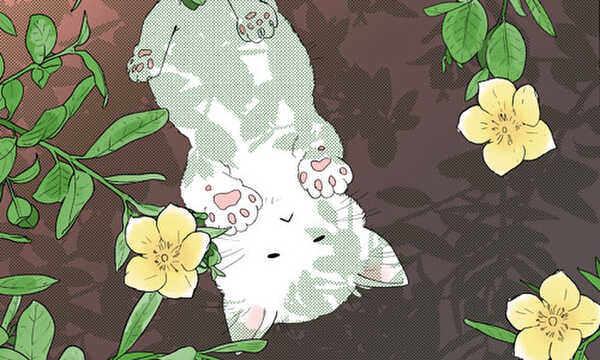 ヒペリカムのねこ