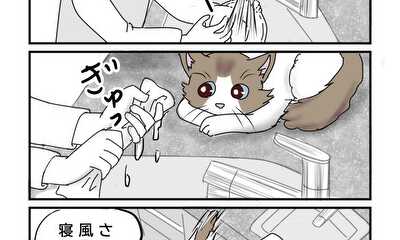 第21話 猫の仕業