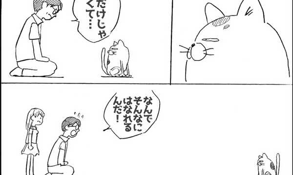 プンス　猫寺さんちの猫