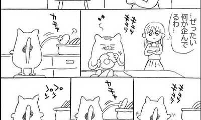 第1話 化け猫シュールギャグ10p!!