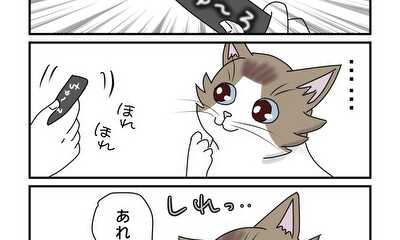 第22話 猫とチュール