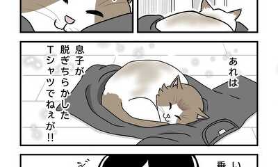 第23話 猫とTシャツ