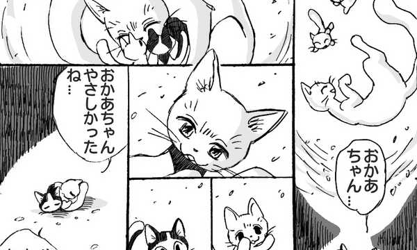 江戸ねこ物語 ＃猫のお兄ちゃん