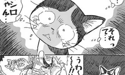 第1話 泣ける！美しき兄妹愛！感動猫漫画20ページ!!