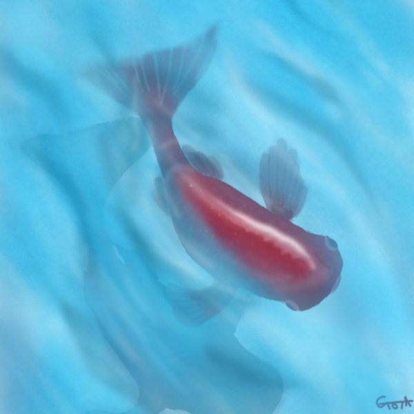 金魚